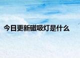 今日更新磁吸灯是什么