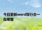 今日更新word双行合一在哪里