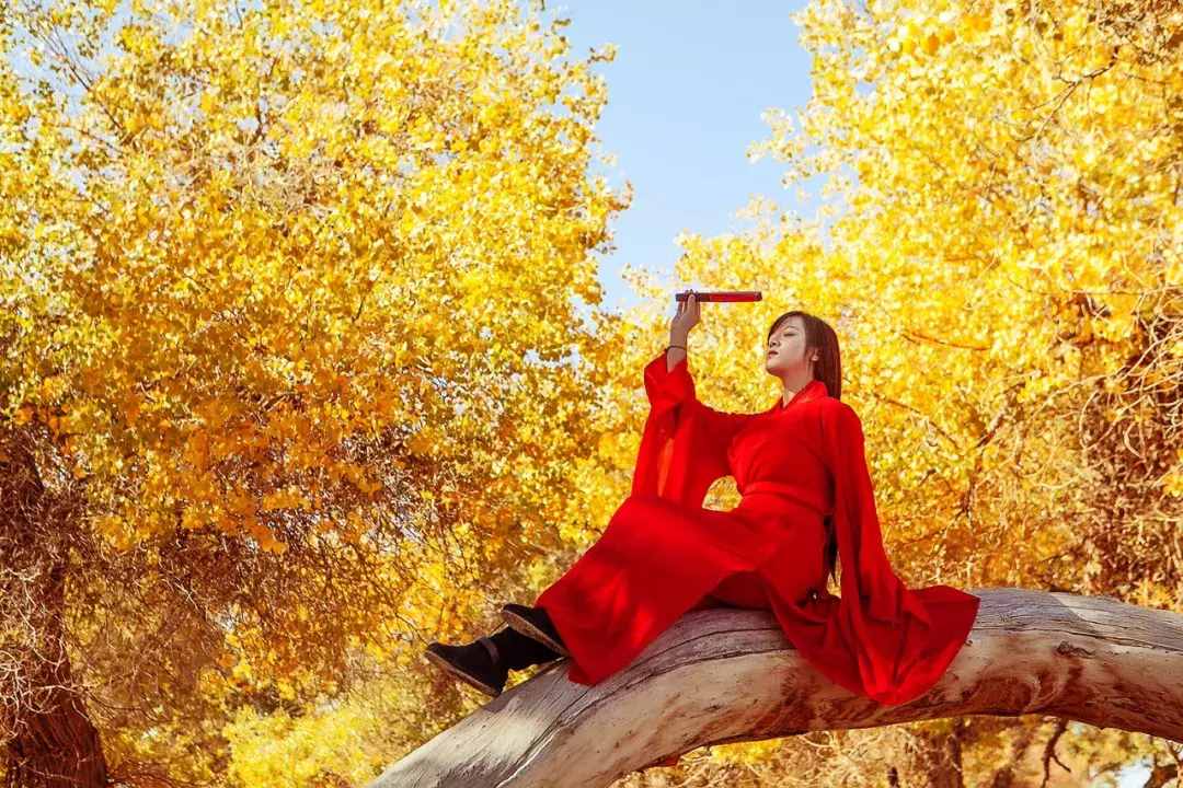 什么时候去额济纳景色最好？怎么去？额济纳最全攻略送给你