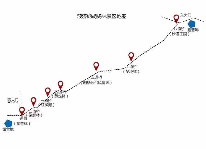 什么时候去额济纳景色最好？怎么去？额济纳最全攻略送给你