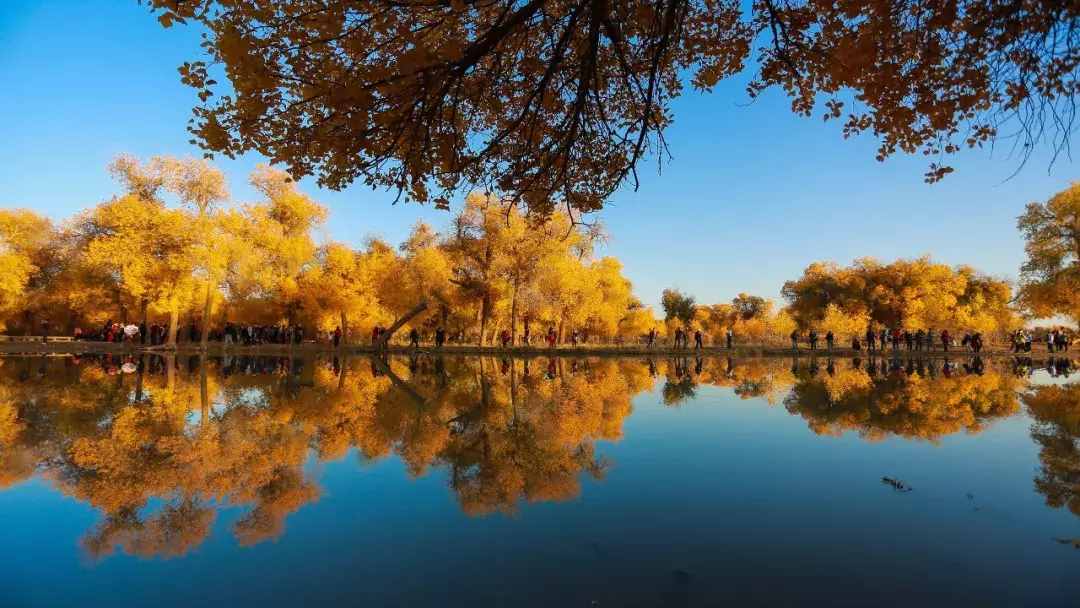 什么时候去额济纳景色最好？怎么去？额济纳最全攻略送给你