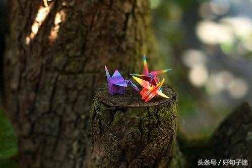 安意如经典语录，很唯美很走心，选句发朋友圈！