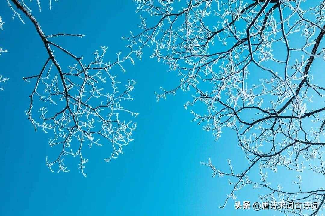 30首立冬诗词，在诗词里，体味诗意冬日