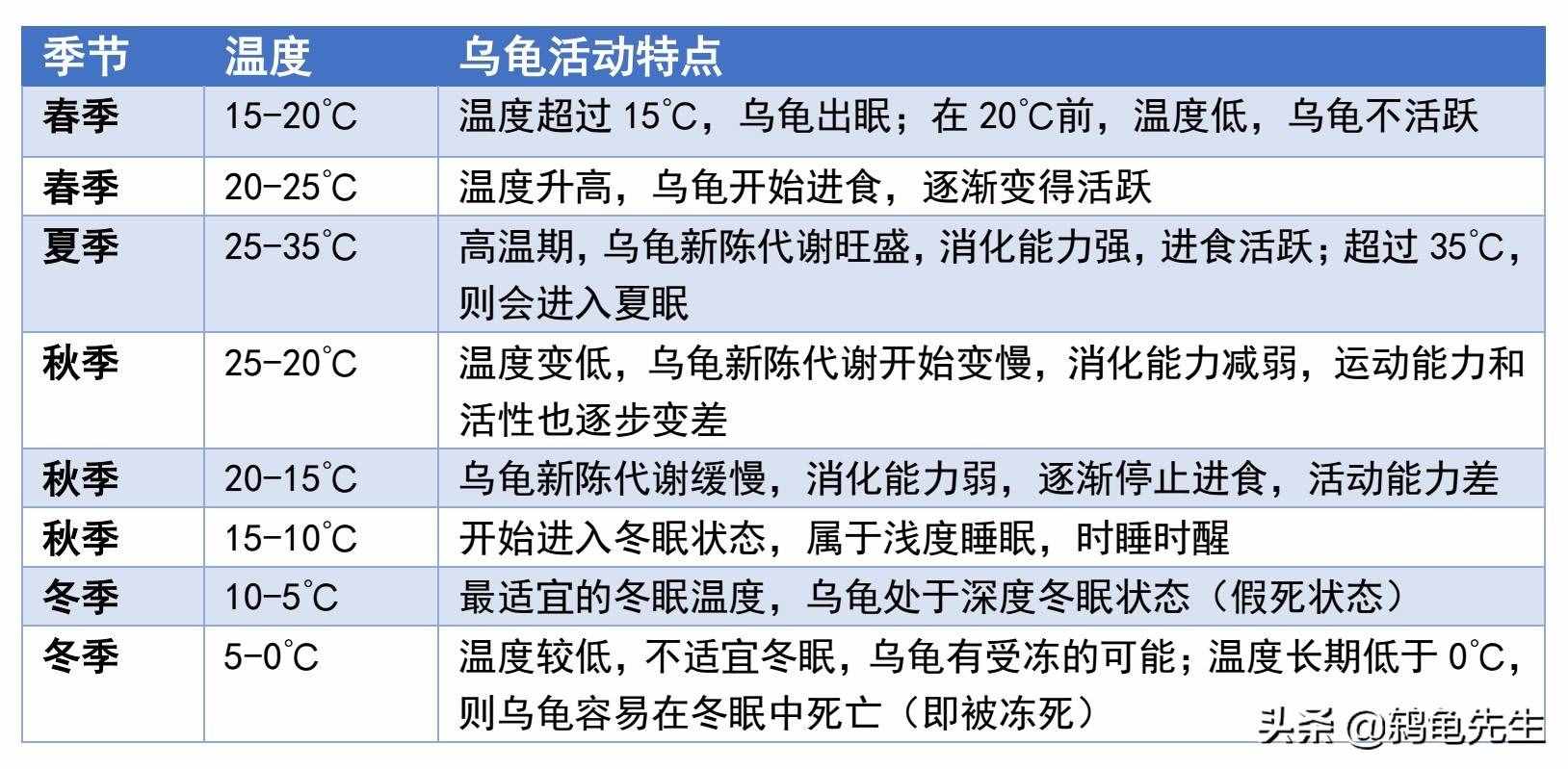 乌龟什么时间开始冬眠？温度15度以下冬眠，各地龟冬眠时间一览