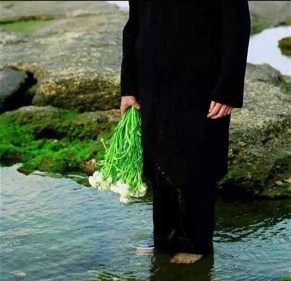 12 首父亲节诗歌 