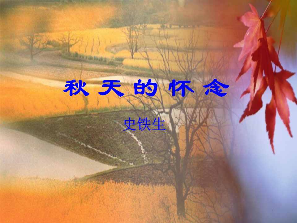 部编版语文七年级上册《秋天的怀念》优秀教案一等奖