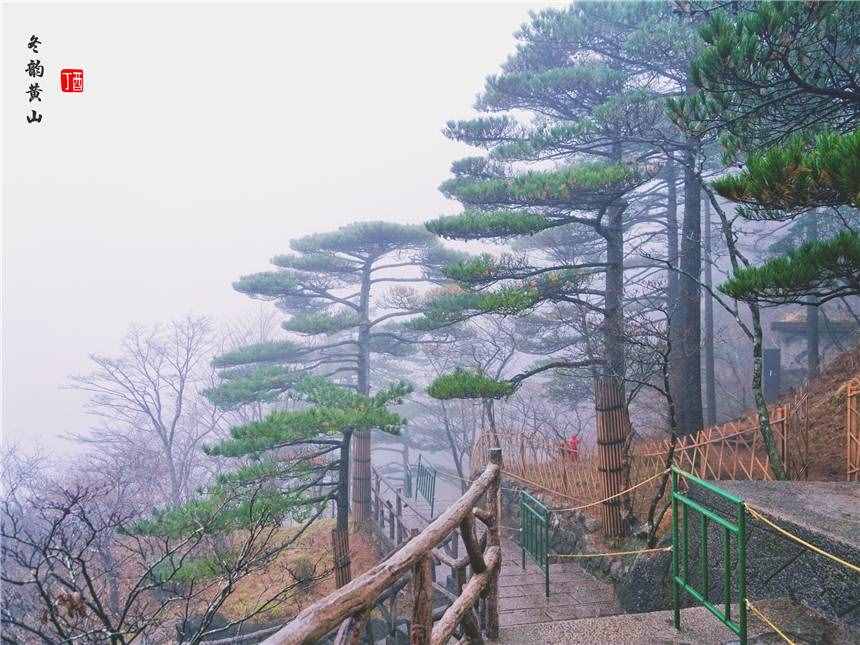 安徽最值得来的旅游景点，登黄山天下无山