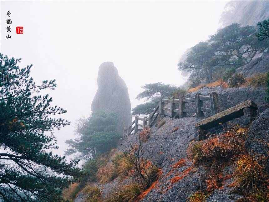 安徽最值得来的旅游景点，登黄山天下无山