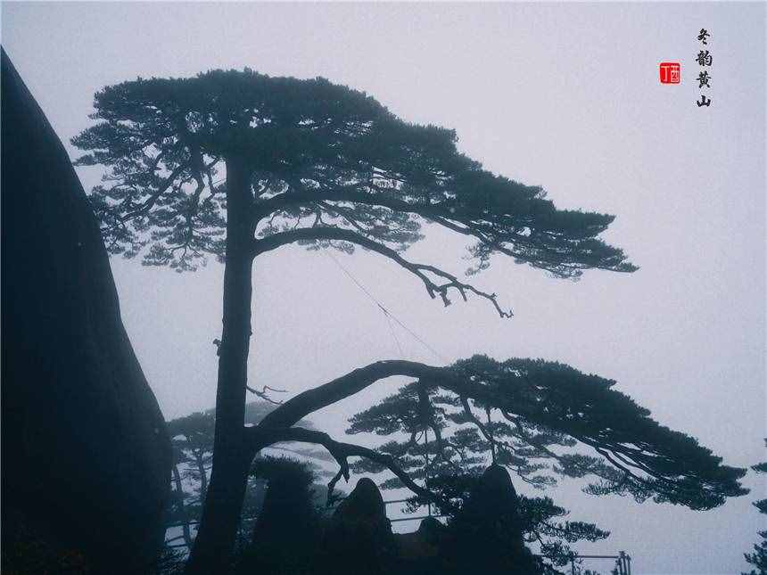 安徽最值得来的旅游景点，登黄山天下无山