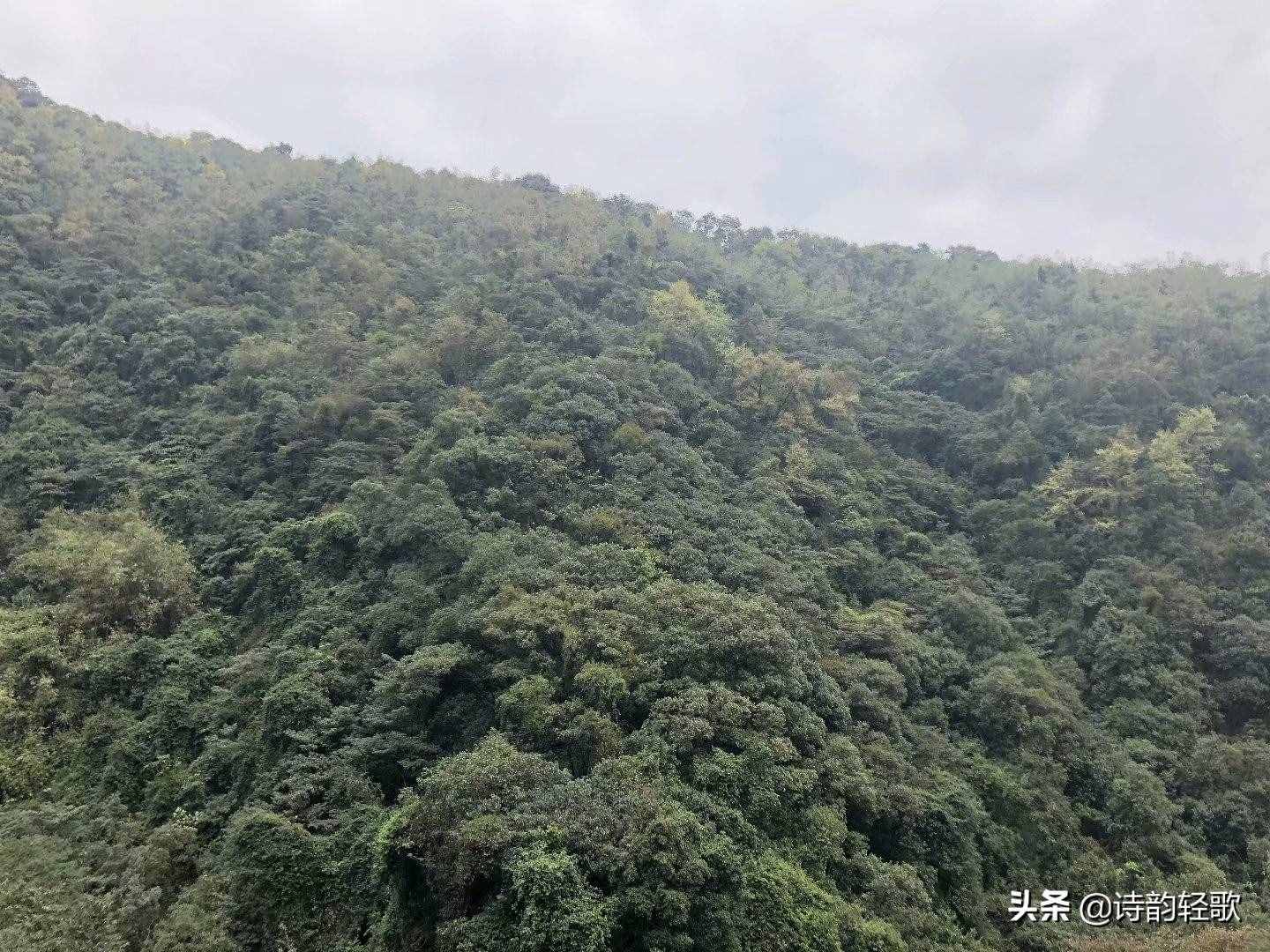 清远盘龙峡，拍摄：诗韵轻歌