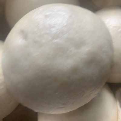 跟饭店大厨学的发面馒头的做法，果然好吃到没朋友