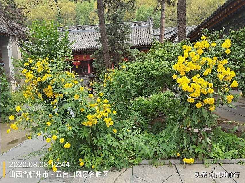成语解读：兰因絮果