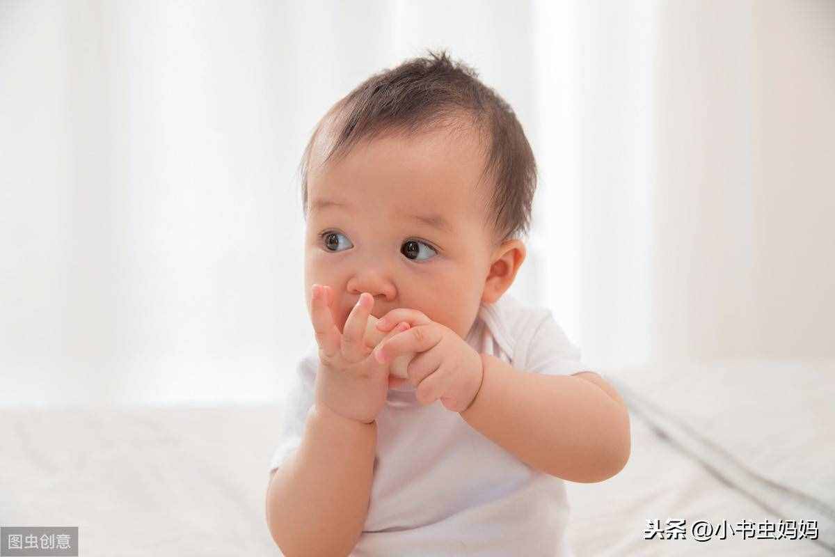 适合9月龄宝宝的5道辅食，营养又健康，促进长高个（附详细菜谱)