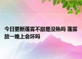 今日更新莲雾不甜是没熟吗 莲雾放一晚上会坏吗