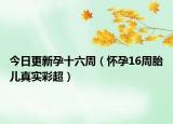 今日更新孕十六周（怀孕16周胎儿真实彩超）