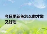 今日更新鱼怎么做才嫩又好吃