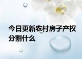 今日更新农村房子产权分割什么