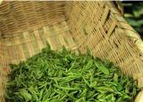 今日更新龙井茶的来历（十大名茶的美丽传说）