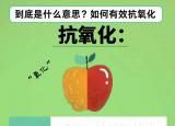 今日更新抗氧化是什么意思（抗氧化）