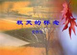 今日更新怀念母亲教案（秋天的怀念优秀教案一等奖）