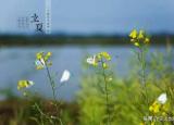 今日更新立夏为什么要吃蛋（为何立夏节气要吃鸡蛋）