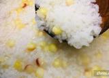 今日更新稀饭什么意思（稀饭意思）