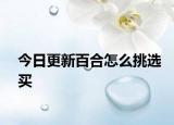今日更新百合怎么挑选买