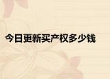 今日更新买产权多少钱