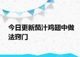 今日更新茄汁鸡翅中做法窍门