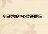 今日更新空心菜通便吗