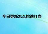 今日更新怎么挑选红参