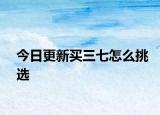今日更新买三七怎么挑选