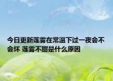 今日更新莲雾在常温下过一夜会不会坏 莲雾不甜是什么原因