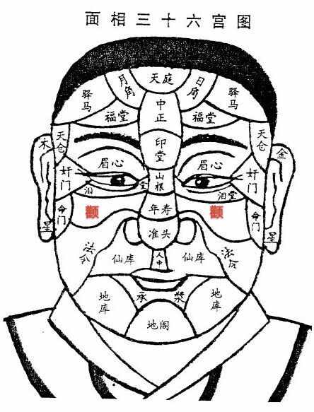 面相：颧骨看家族关系及婚姻子女