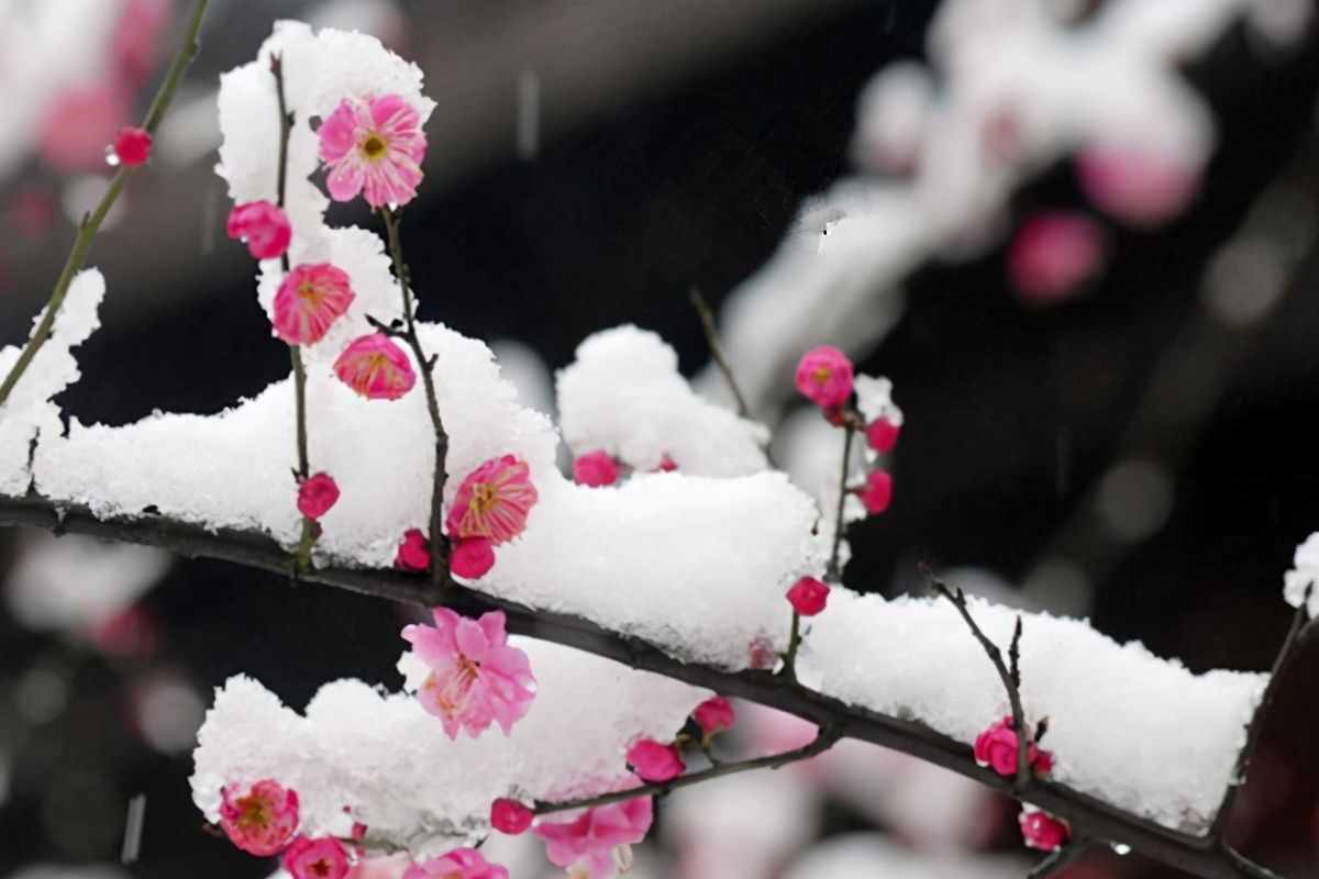 王安石罢相后心灰意冷，“洗稿”古乐府一首诗，结果成了千古名篇