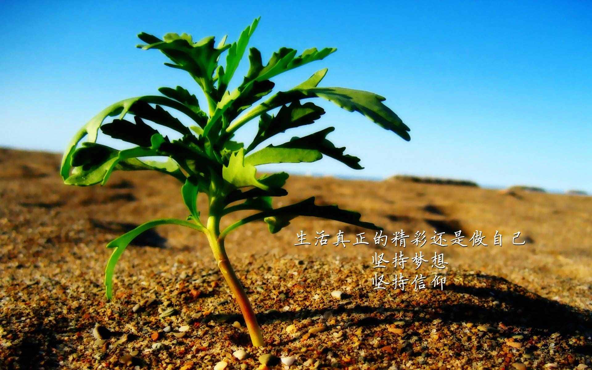 人到中年：生命奔流，笑对人生，每天前进一点点