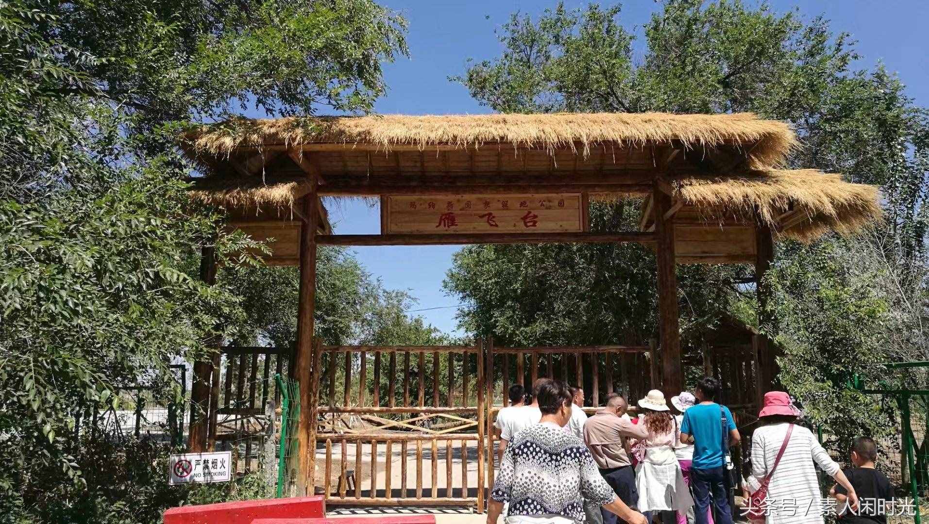 玛纳斯国家湿地公园—红柳花开，苇叶飘飘