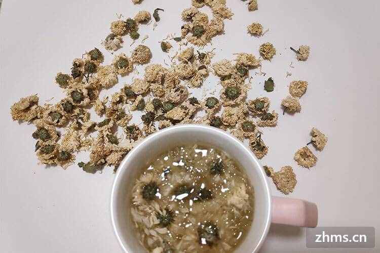 贡菊和杭白菊的区别