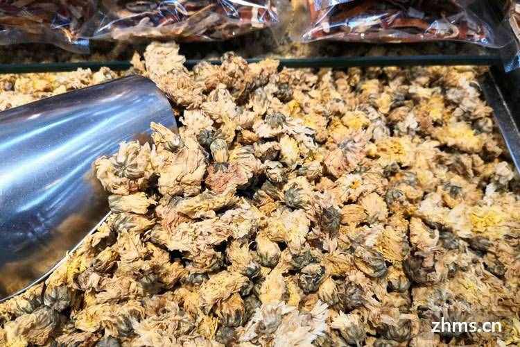 贡菊和杭白菊的区别