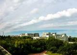 今日更新沈阳化工大学分数线（沈阳化工大学2020年录取分数线）