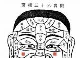 今日更新颧骨面相（面相颧骨看家族关系及婚姻子女）