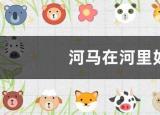 今日更新河马在水里怎么走（河马在河里如何行走）