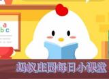 今日更新鱿鱼属于鱼类吗 （鱿鱼）