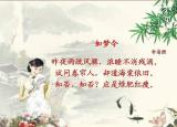 今日更新知否知否应是绿肥红瘦什么意思（你可知道绿肥红瘦是什么意思）