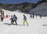 今日更新河南滑雪场（盘点河南8大滑雪场）