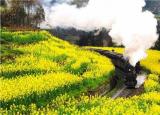 今日更新成都到罗江（花开天府 安逸四川）