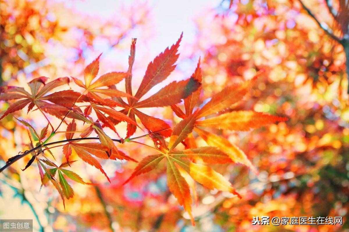 深秋时节，牢记4个养生秘诀，健康度过整个秋季