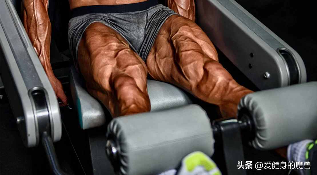 健身不练腿？你确定行？最强腿部增肌计划