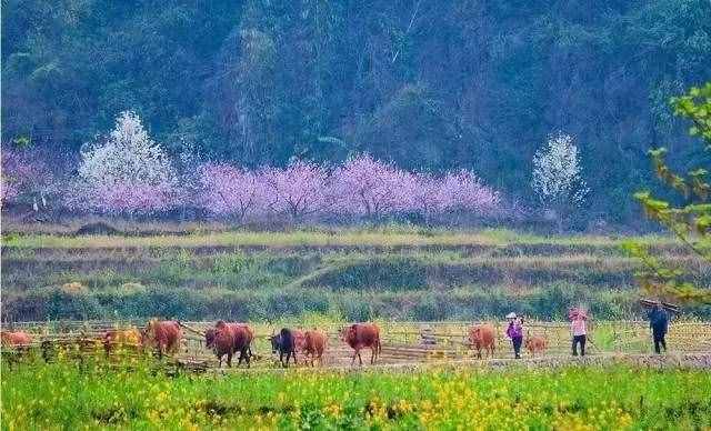 中国必去的7个古村落，每一个都是鲜为人知的世外桃源