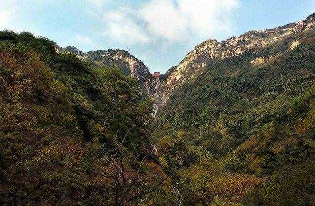 端午 泰山 两日游 登五岳泰山看日出云海